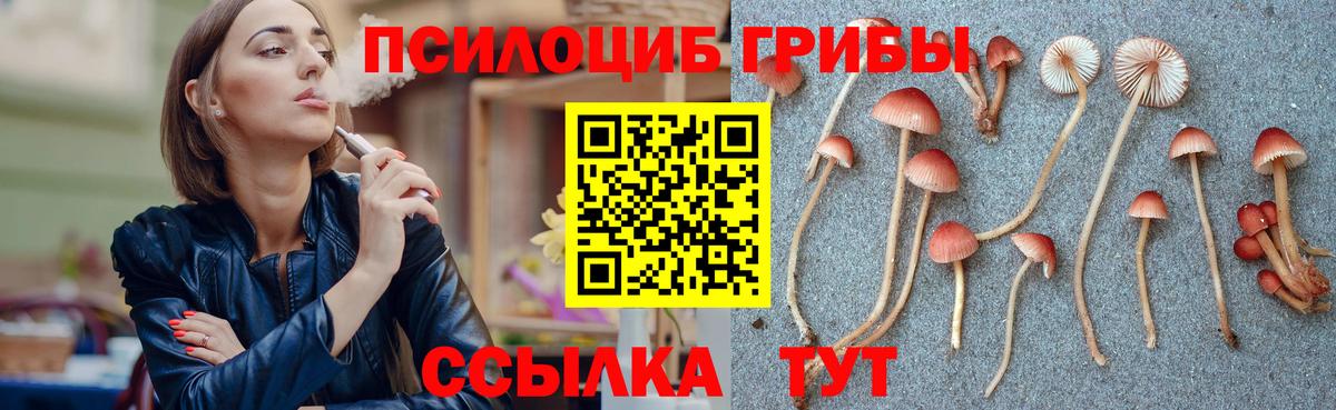 купить   Галлюциногенные грибы прущие грибы  Вход с VPN  Шали 