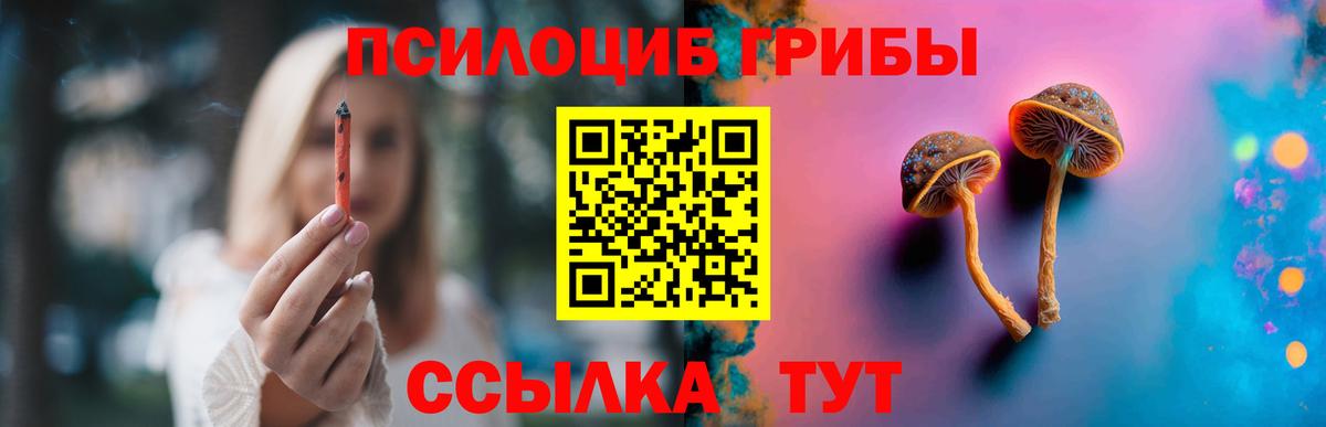 Псилоцибиновые грибы мицелий Шали